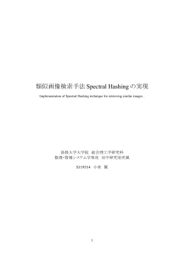 1) 類似画像検索手法Spectral Hashingの実現