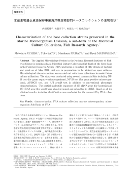 水産生物遺伝資源保存事業海洋微生物部門ベースコレクションの生物