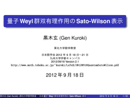量子Weyl群双有理作用のSato