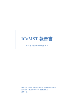 ICoMST 2014 報告書