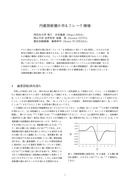 円錐剪断層の作るフレーク模様