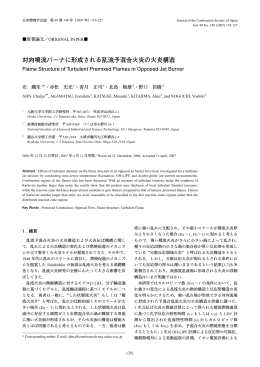 対向噴流バーナに形成される乱流予混合火炎の火炎構造