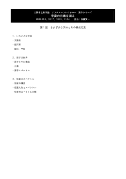 成長曲線法によるふたご座&gamma;星の鉄の定量