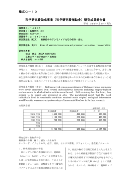 研究成果報告書 - KAKEN - 科学研究費助成事業データベース