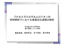 プロセスガス分子およびイオンの 同時照射下における表面反応