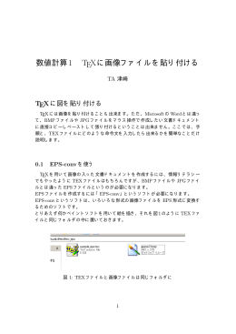 数値計算1 TEXに画像ファイルを貼り付ける