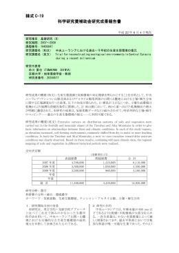 様式 C-19 科学研究費補助金研究成果報告書 - KAKEN