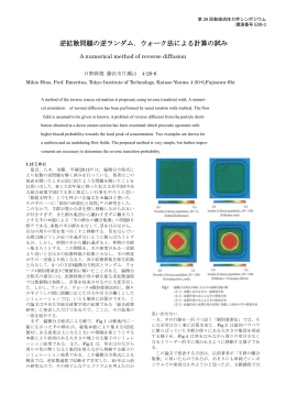 逆拡散問題の逆ランダム．ウォーク法による計算の試み
