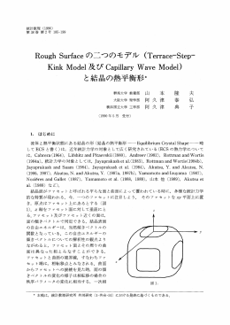 R。ugh Surface の二つのモデスレ (Terrace~Step一 Kink M。deー 及び