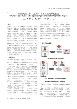 領域分割に基づく回帰による三次元形状復元