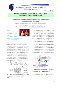 （2015年2月発行）25ページ - 生命分子システムにおける動的秩序形成と