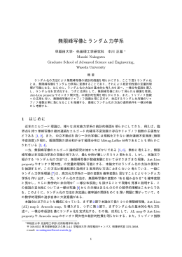 無限峰写像とランダム力学系