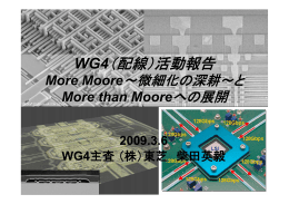 配線WG「More Moore～微細化の深耕～とMore than Mooreへの展開」