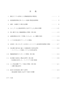 報告書2009（平成20年度研究）
