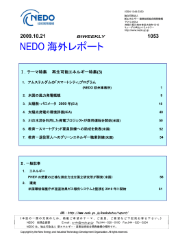 全文（2279KB） - 新エネルギー・産業技術総合開発機構