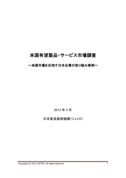 米国有望製品・サービス市場調査