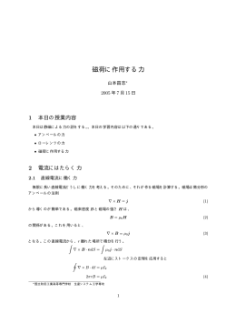 磁荷に作用する力 - yamamo10.jp