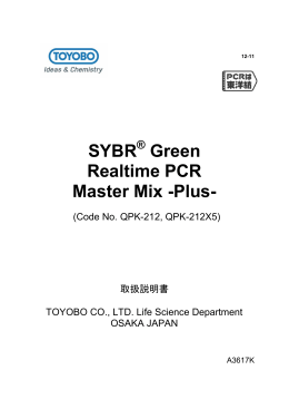 SYBR Green Realtime PCR Master Mix -Plus