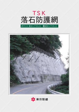 落石防護網