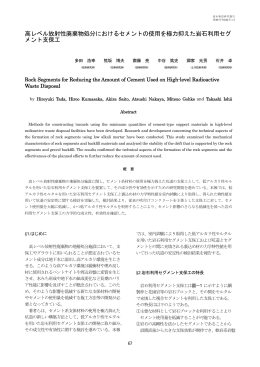 高レベル放射性廃棄物処分におけるセメントの使用を極力