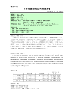 様式 C-19 科学研究費補助金研究成果報告書 - KAKEN