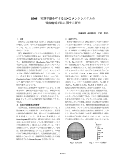 B305 初期不整を有する LNG タンクシステムの 強度解析手法に関する研究