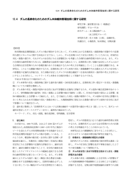13.4 ダムの長寿命化のためのダム本体維持管理技術に関する研究