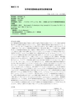 様式 C-19 科学研究費補助金研究成果報告書 - KAKEN