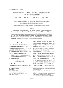 リン酸塩，塩化物混合溶液中 における電気化学的挙動