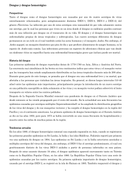 デング熱 1 形式