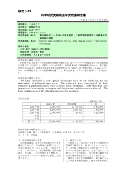 様式 C-19 科学研究費補助金研究成果報告書 - KAKEN