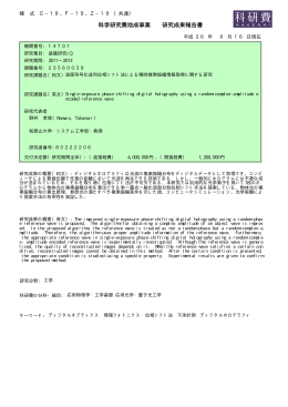 科学研究費助成事業 研究成果報告書 - KAKEN