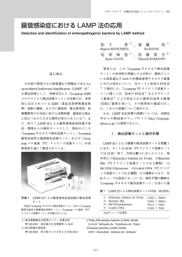 腸管感染症における LAMP 法の応用