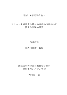 平成 19 年度学位論文 スリットを通過する種々の液体の流動
