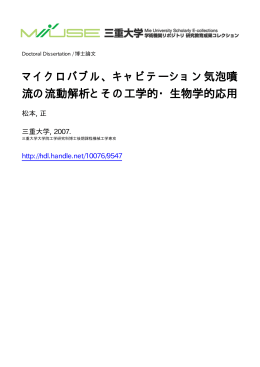 マイクロバブル、キャビテーション気泡噴 流の流動 - MIUSE
