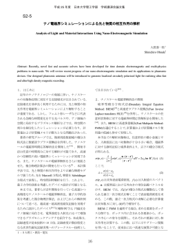 ナノ電磁界解析