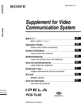 Supplement for Video Communication System