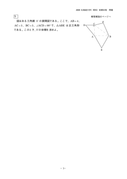 解答例＋引用題