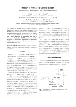 高感度マイクロ Kerr 磁化測定装置の開発