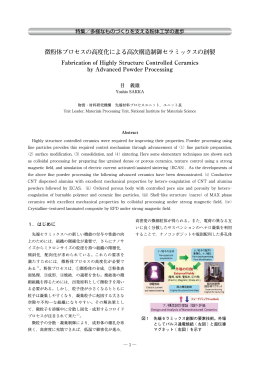 微粉体プロセスの高度化による高次構造制御セラミックスの創製