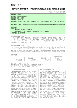 研究成果報告書 - KAKEN - 科学研究費助成事業データベース