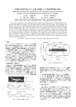 容器内自然対流における重力揺動による熱流束変動の検出