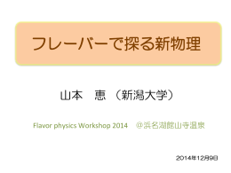 フレーバーで探る新物理(前半) - 首都大学東京高エネルギー実験研究室