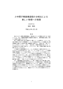B中間子稀崩壊過程の分岐比による 新しい物理への制限