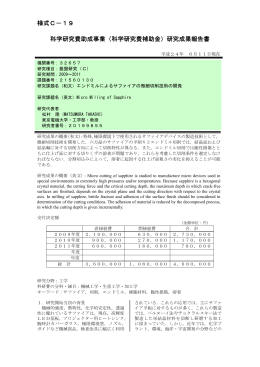 研究成果報告書 - KAKEN - 科学研究費助成事業データベース
