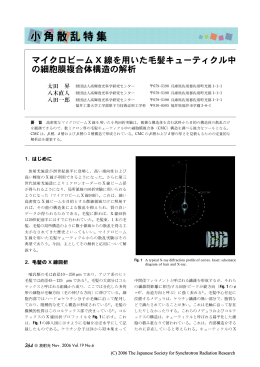 マイクロビーム X 線を用いた毛髪キューティクル中 の