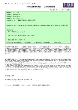 科学研究費助成事業 研究成果報告書 - KAKEN