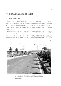 W 環境保全緑地形成のための具体的提案