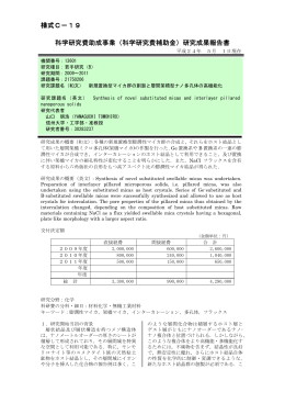 （ 科学研究費助成事業（科学研究費補助金）研究成果報告書