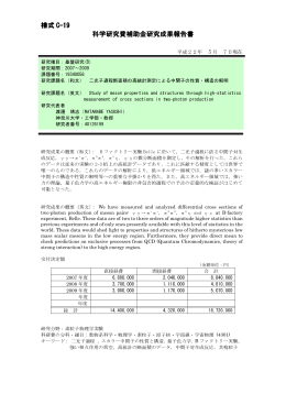 様式 C-19 科学研究費補助金研究成果報告書 科学研究費補助金研究